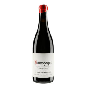 Arnaud Baillot La Montagne